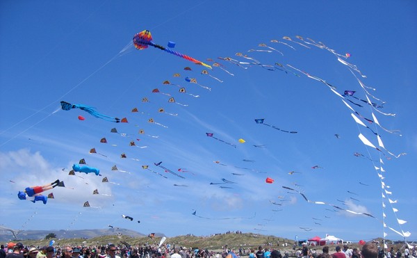 Peter Lynn Kites on Display